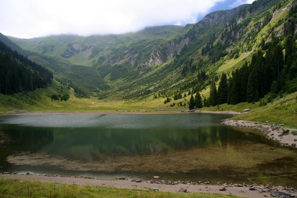 Residence Les Chardons Argentes 2 Samoens Luaran gambar