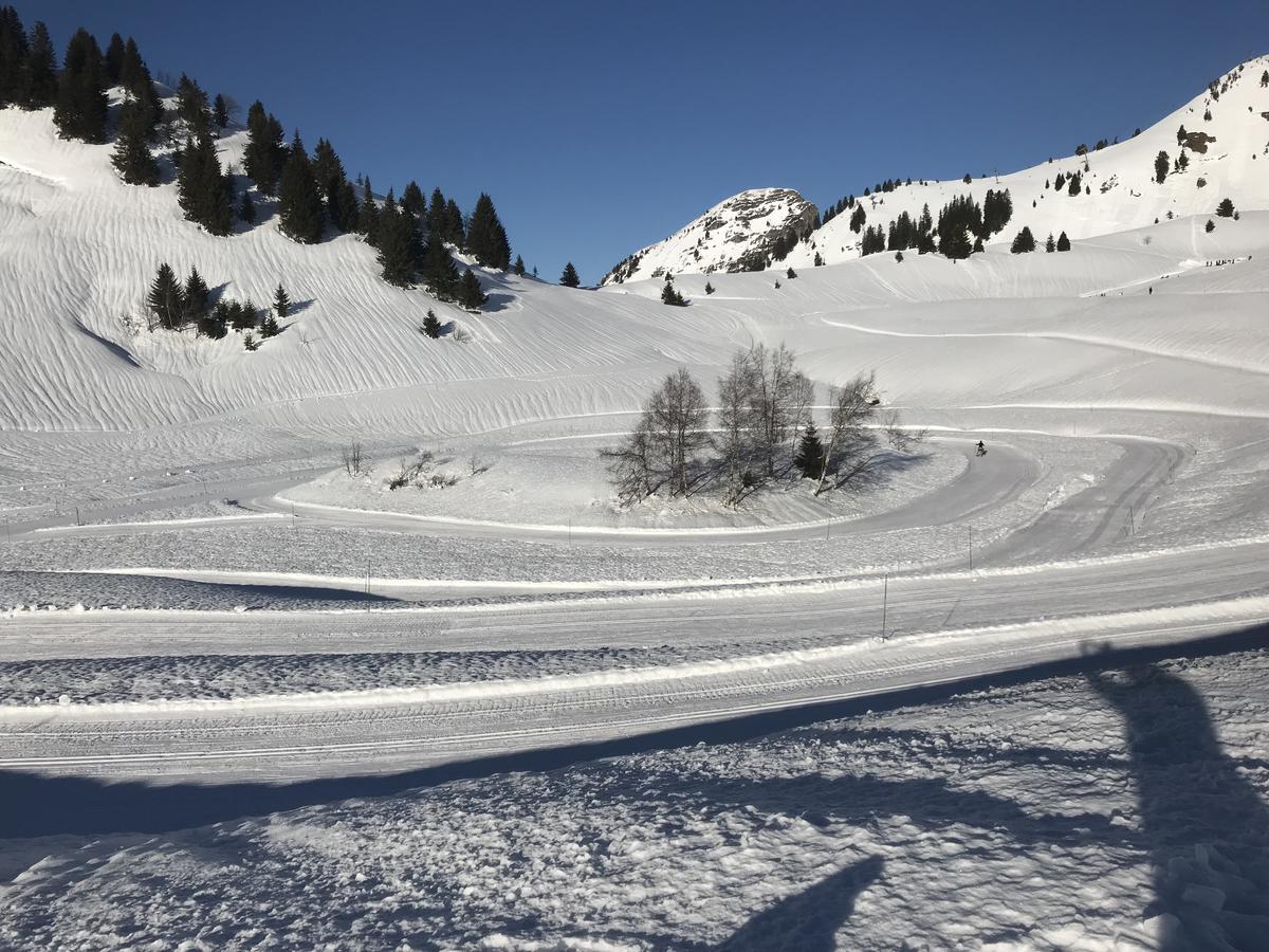 Residence Les Chardons Argentes 2 Samoens Luaran gambar