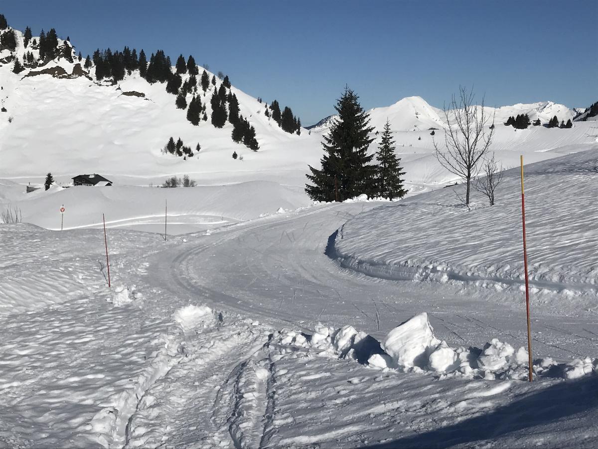 Residence Les Chardons Argentes 2 Samoens Luaran gambar